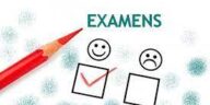Cameroun : 490 000 élèves passent les examens cruciaux du CEP et du FLSC