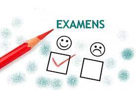 Cameroun : 490 000 élèves passent les examens cruciaux du CEP et du FLSC