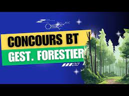 Sénégal: Concours BT Gestionnaire Forestier session 2024 Dépôts ouverts