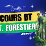 Sénégal: Concours BT Gestionnaire Forestier session 2024 Dépôts ouverts