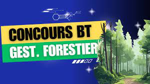 Sénégal: Concours BT Gestionnaire Forestier session 2024 Dépôts ouverts